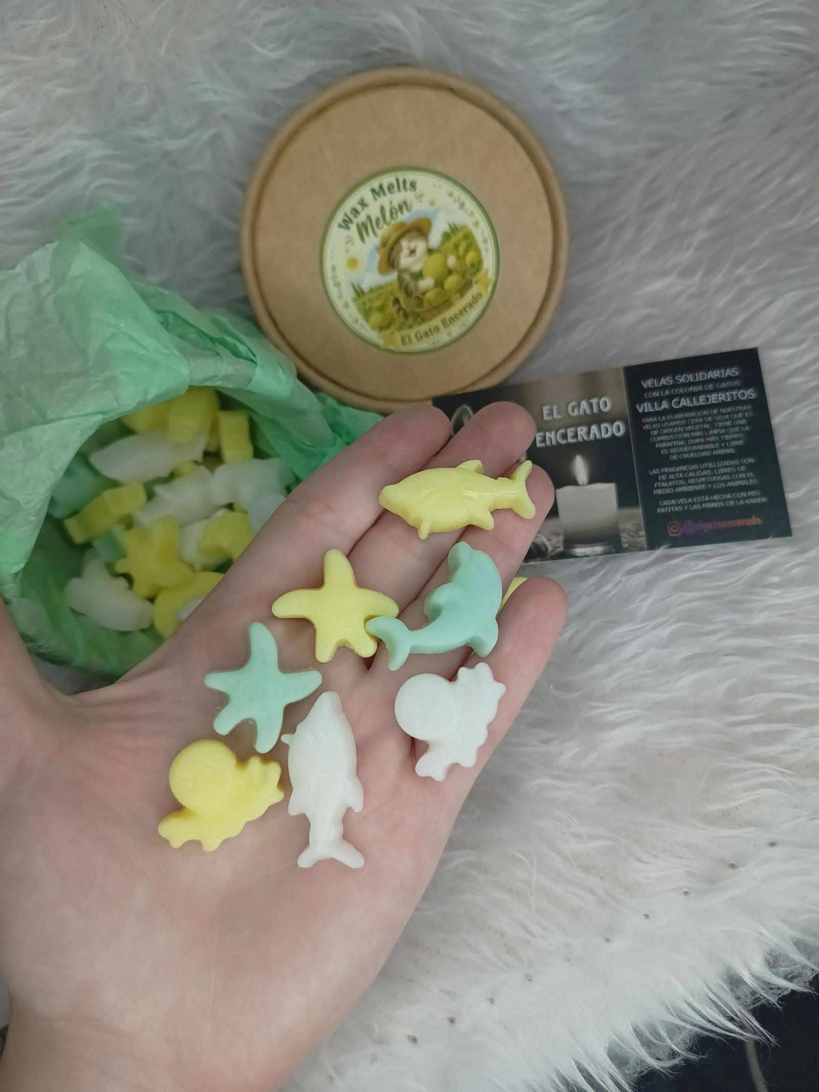 Waxmelts Melón – photo 3